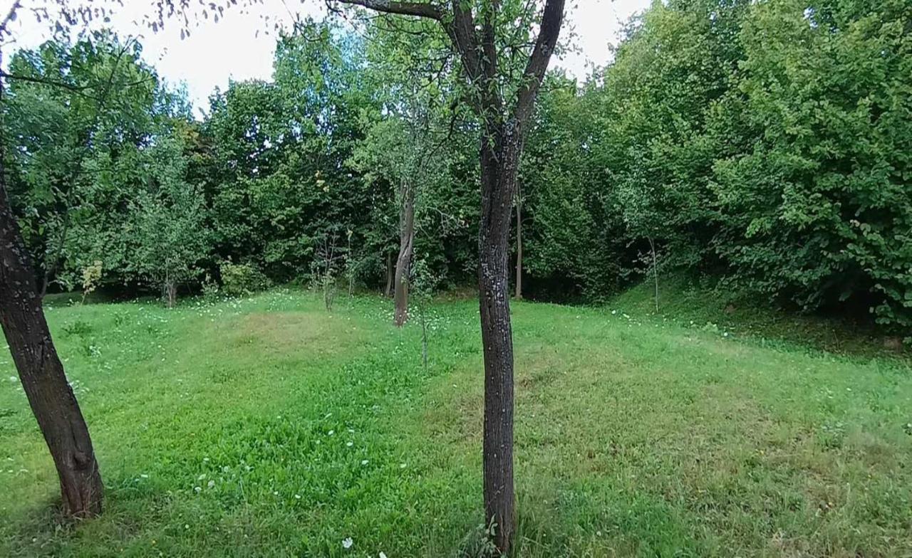 Вилла Casuta Din Livada Мойсей Экстерьер фото