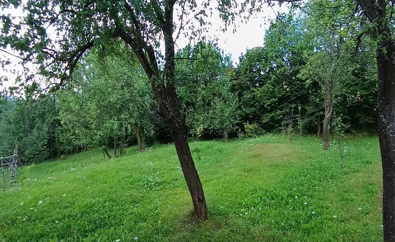Вилла Casuta Din Livada Мойсей Экстерьер фото