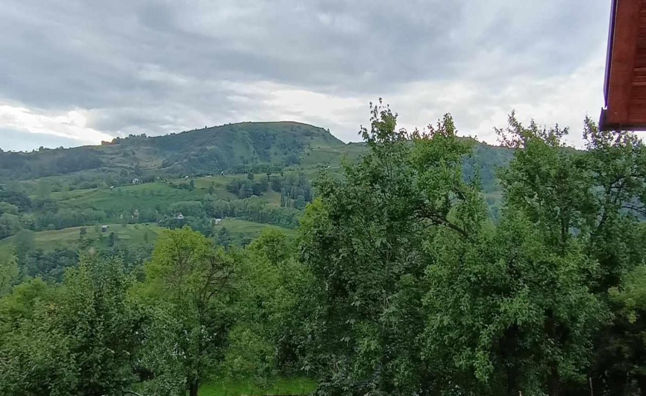 Вилла Casuta Din Livada Мойсей Экстерьер фото